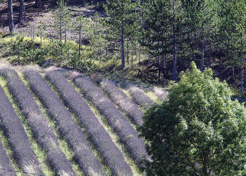 Le Vin De L'Ete Panzió Ponet-et-Saint-Auban Kültér fotó